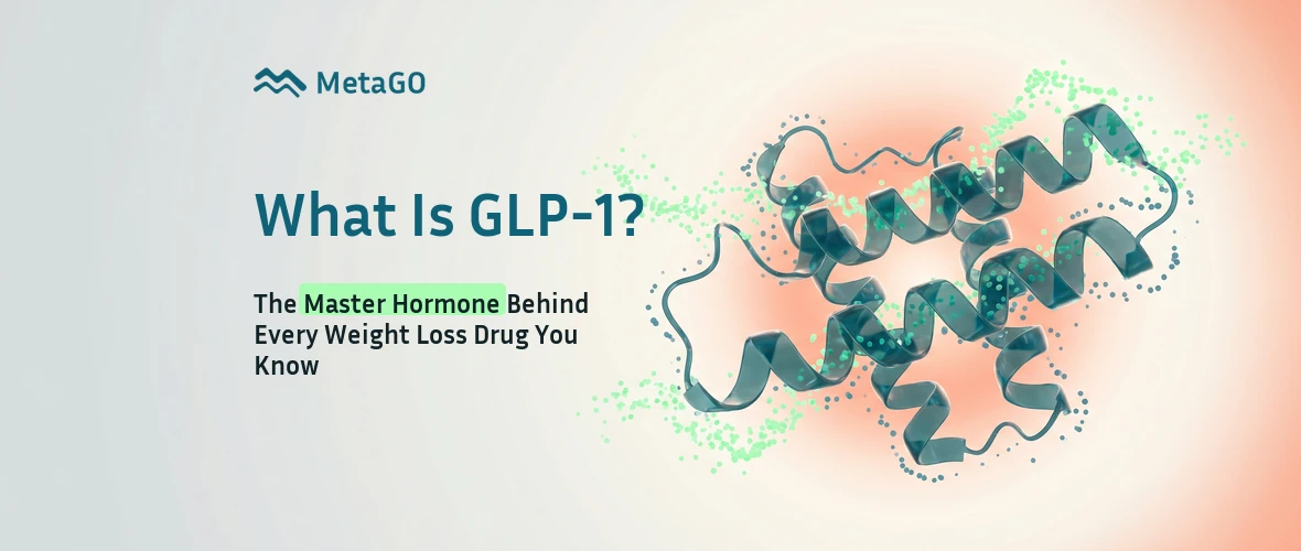 Translucent 3D rendered peptide molecule introducing GLP-1 the master hormone behind every weight loss medication