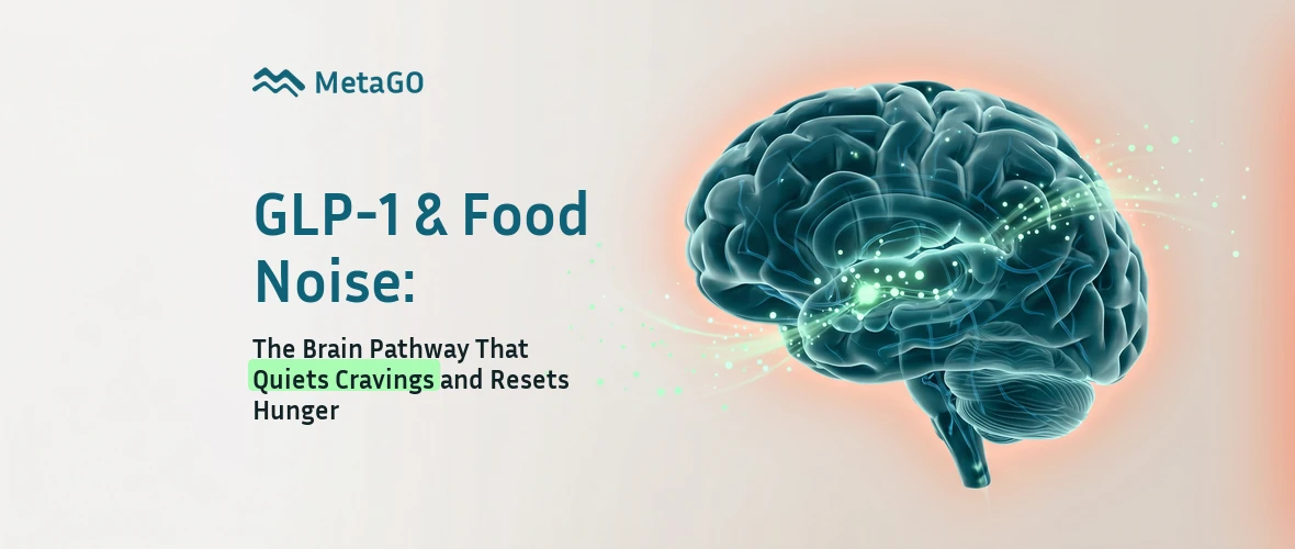 GLP-1 and food noise: 3D brain hypothalamus illustration showing the pathway that quiets cravings and resets hunger