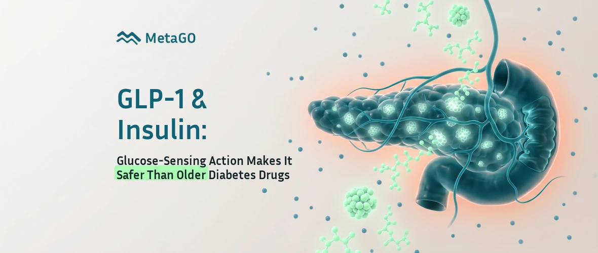 GLP-1 and insulin: glowing pancreas islets with glucose molecules showing glucose-sensing action safer than older diabetes drugs