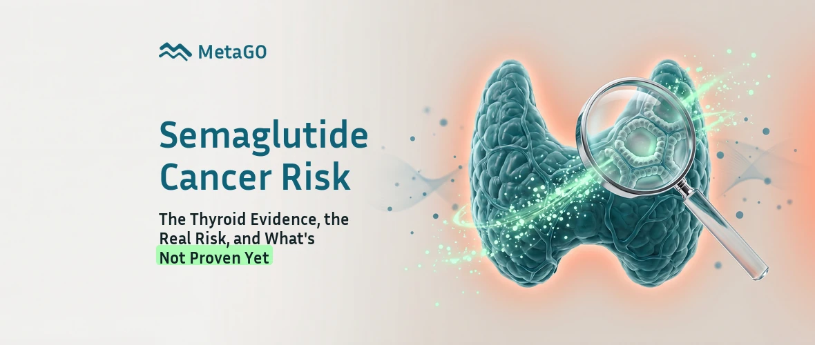 Translucent 3D thyroid with magnifier examining tissue showing semaglutide cancer risk evidence and what is not proven yet